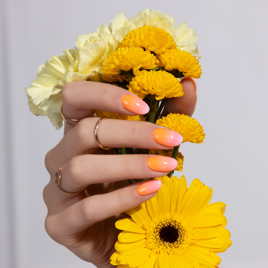 Baby Boomer Airbrush Pulver White 10558 - 5 g-Nail Art-NeoNail-NR Kosmetik