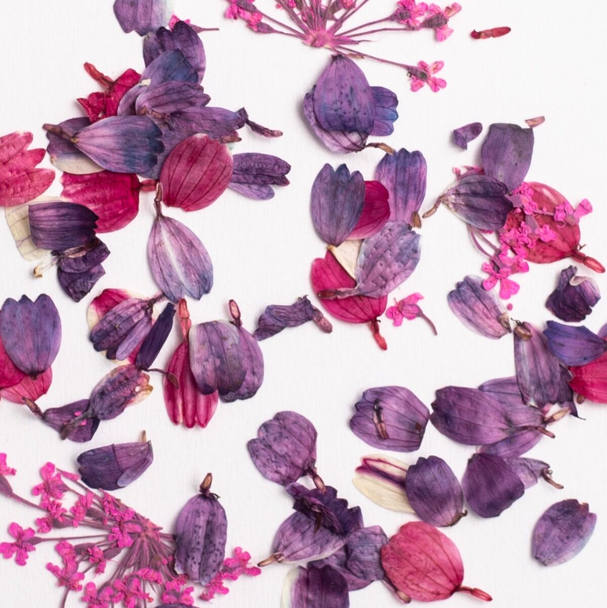Flower Flakes - Wild Orchid - 0,3g-nail art pynt-Semilac-NR Kosmetik
