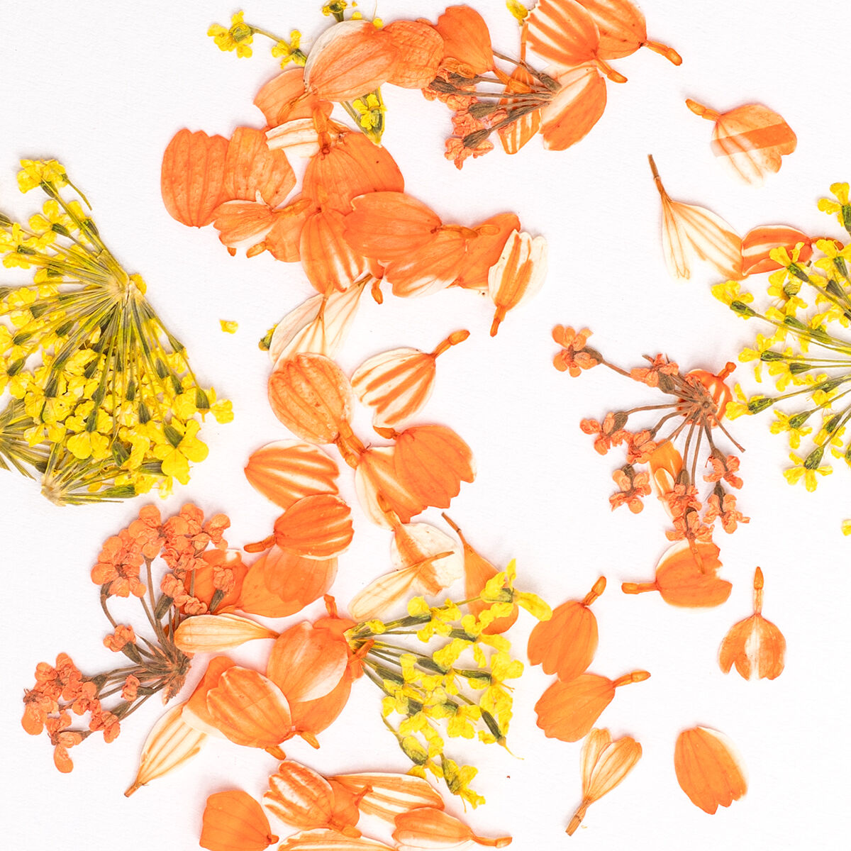 Flower Flakes - Golden Sunset - 0,3g-nail art pynt-Semilac-NR Kosmetik