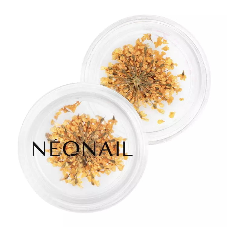 Neglepynt - Dried Flowers - Orange 03-NeoNail-NR Kosmetik