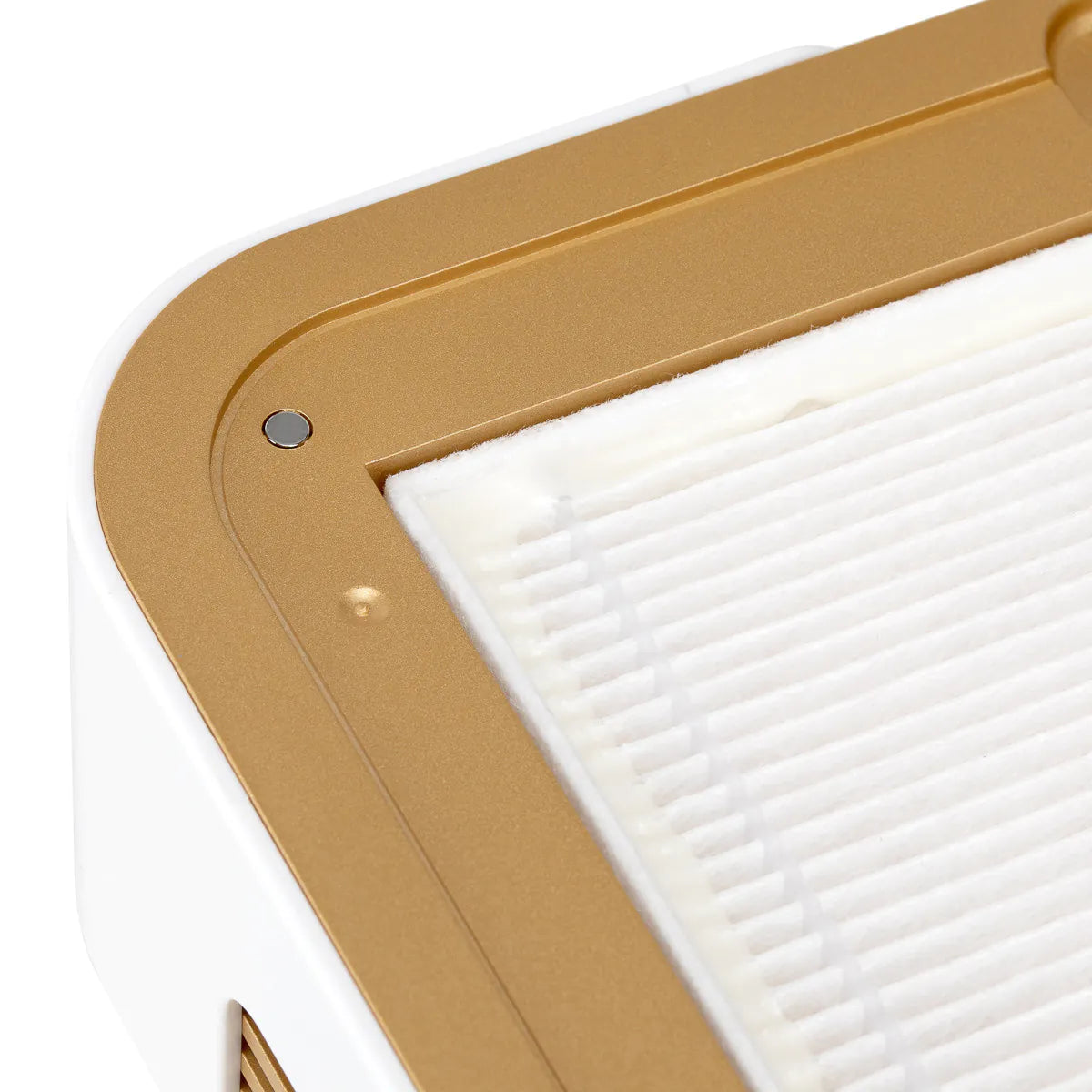 MOMO Dust Collector Gold - 60W-Dust collector-MOMO-NR Kosmetik