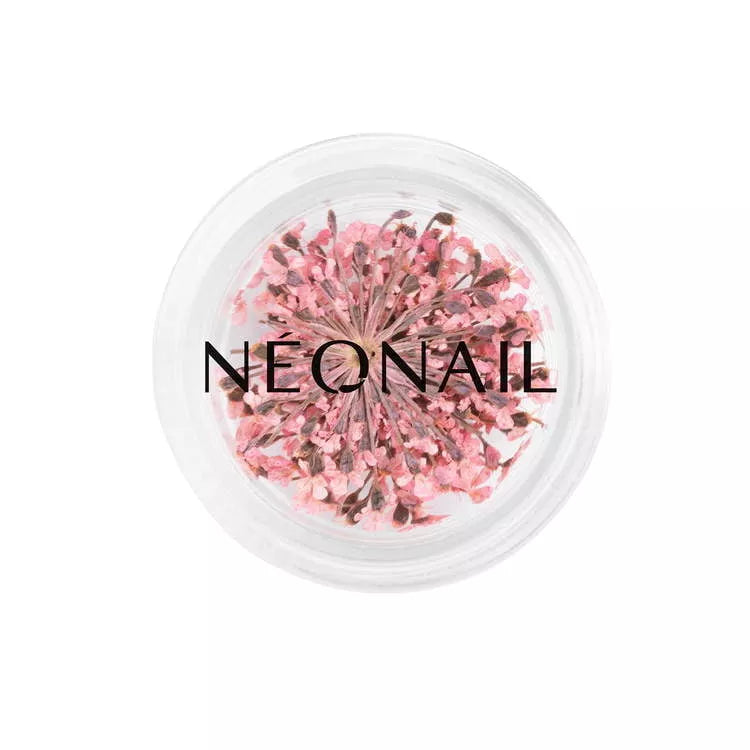 Neglepynt - Dried Flowers - Pink 01-NeoNail-NR Kosmetik