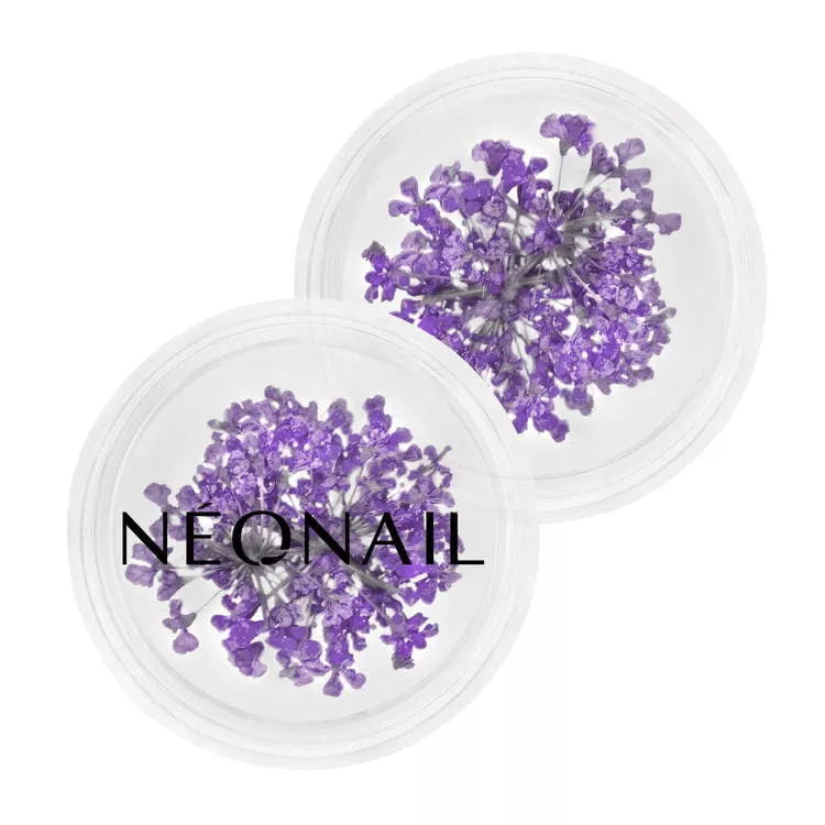 Neglepynt - Dried Flowers - Violet 06-NeoNail-NR Kosmetik