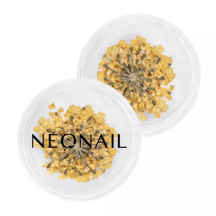 Neglepynt - Dried Flowers - Yellow 07-NeoNail-NR Kosmetik