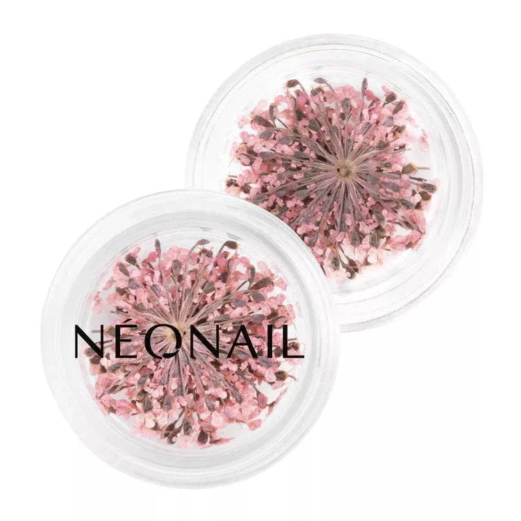 Neglepynt - Dried Flowers - Pink 01-NeoNail-NR Kosmetik