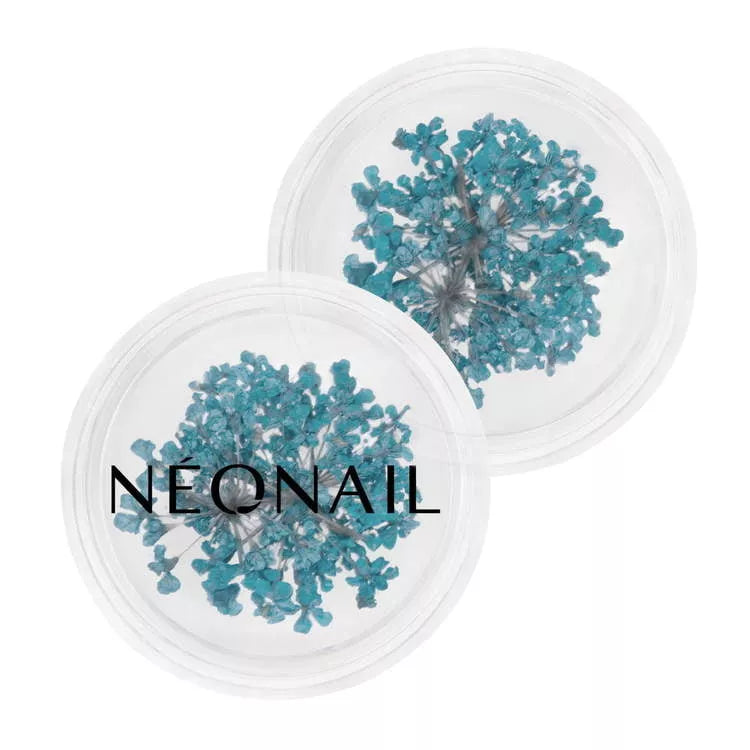 Neglepynt - Dried Flowers - Turquoise 05-NeoNail-NR Kosmetik