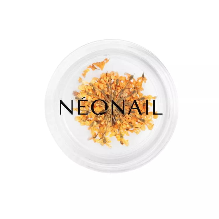 Neglepynt - Dried Flowers - Orange 03-NeoNail-NR Kosmetik