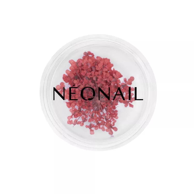 Neglepynt - Dried Flowers - Red 08-NeoNail-NR Kosmetik