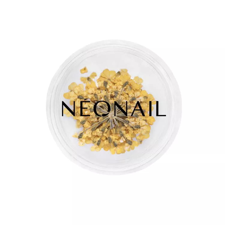 Neglepynt - Dried Flowers - Yellow 07-NeoNail-NR Kosmetik