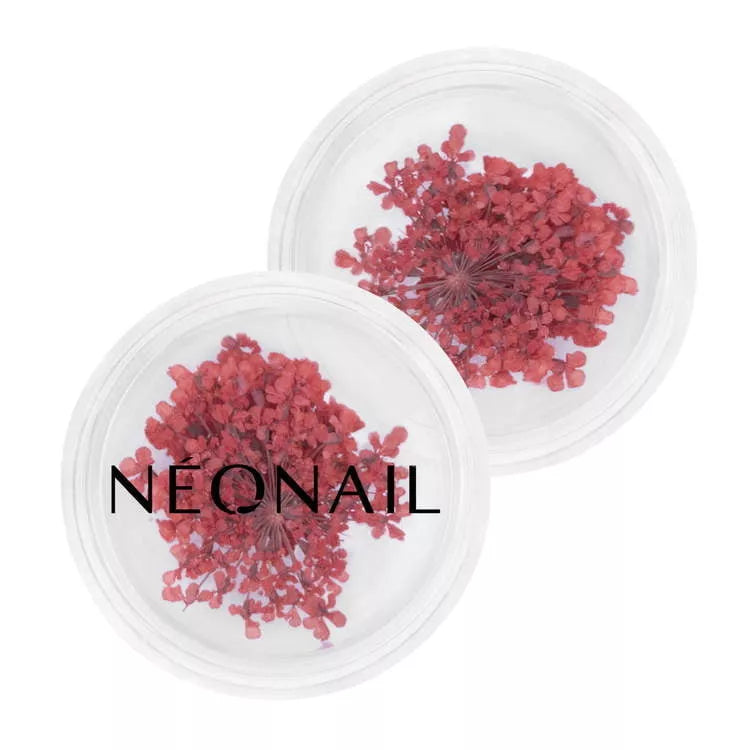 Neglepynt - Dried Flowers - Red 08-NeoNail-NR Kosmetik