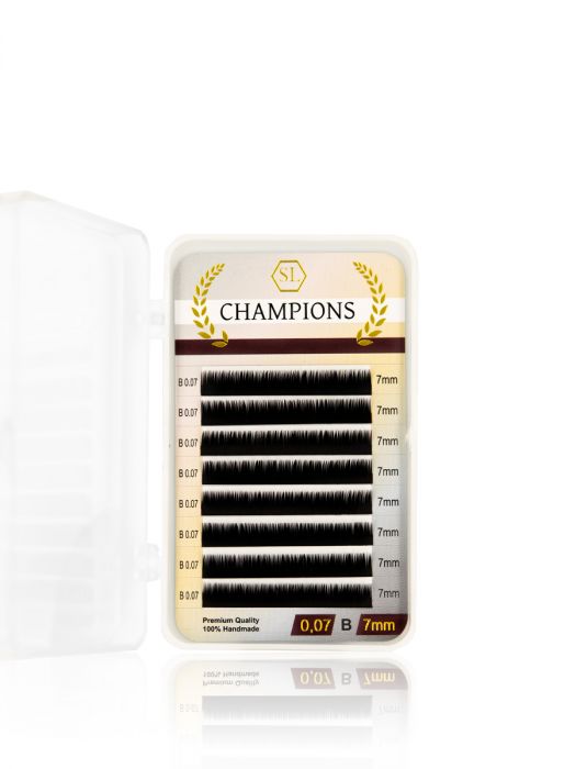 Champions - 8 stripes (7 mm)-2D-3D-Secret Lashes-B-0.07-7 mm-NR Kosmetik